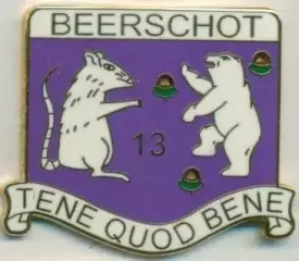 футбол.клуб Беерсхот (Бельгія) ЕМАЛЬ/Beerschot VAC,Belgium football replica1 pin