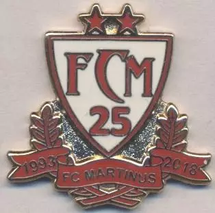 футбол.клуб Мартінус (Бельгія)2 ЕМАЛЬ/FC Martinus Herentals,Belgium football pin