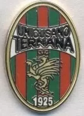 футбол.клуб Тернана (Італія)2 ЕМАЛЬ / Ternana Unicusano,Italy football pin badge