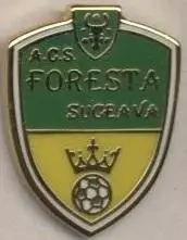 футбол.клуб Фореста Сучава (Румунія) ЕМАЛЬ /Foresta Suceava,Romania football pin