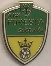 футбол.клуб Фореста Сучава (Румунія) ЕМАЛЬ /Foresta Suceava,Romania football pin