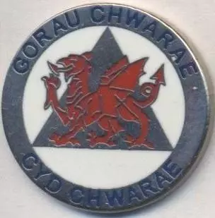футбол.клуб Рос Айлвід (Уельс)2 ЕМАЛЬ / Rhos Aelwyd FC, Wales football pin badge