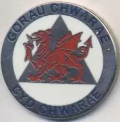 футбол.клуб Рос Айлвід (Уельс)2 ЕМАЛЬ / Rhos Aelwyd FC, Wales football pin badge