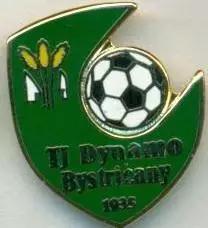 футбол.клуб Динамо Б.(Словаччина ЕМАЛЬ/Dynamo Bystricany,Slovakia football badge