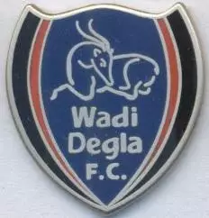 футбол.клуб Ваді Дегла (Єгипет) ЕМАЛЬ /Wadi Degla Cairo,Egypt football pin badge