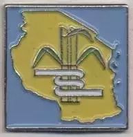 футбол.клуб Мтібва (Танзанія) важмет / Mtibwa Sugar, Tanzania football pin badge