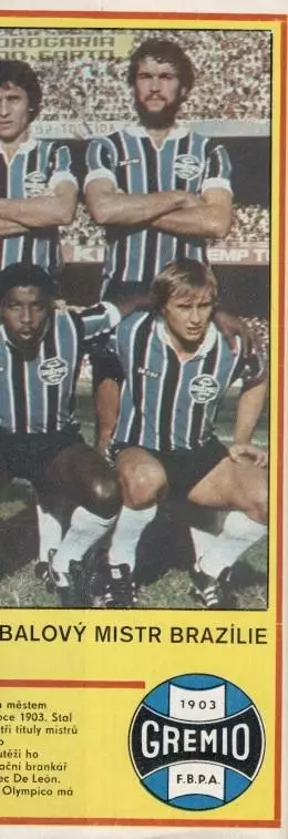 постер А4 футбол Греміо (Бразилія) 1982 Стадіон / Gremio, Brazil football poster