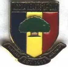 футбол.клуб Хартс оф Оук (Гана) важмет/Accra Hearts of Oak SC,Ghana football pin
