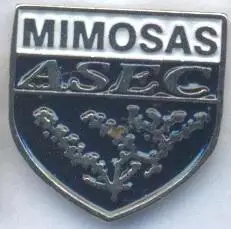 футбол.клуб АСЕК Мімоз.(Кот д'Івуар важмет/ASEC Mimosas,Ivory Coast football pin