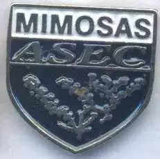футбол.клуб АСЕК Мімоз.(Кот д'Івуар важмет/ASEC Mimosas,Ivory Coast football pin