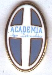 футбол.клуб Академия К(Молдова) ЭМАЛЬ /FC Academia Chisinau,Moldova football pin