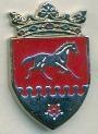 футбольный клуб Рышканы (Молдова) ЭМАЛЬ / FC Riscani, Moldova football pin badge