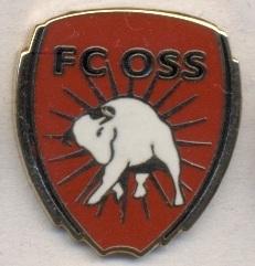 футбольный клуб ФК Осс (Голландия) ЭМАЛЬ / FC Oss,Netherlands football pin badge