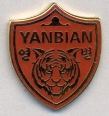 футбол.клуб Яньбянь Фуньде (Китай) ЭМАЛЬ /Yanbian Funde,China football pin badge