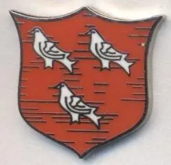 футбольный клуб Дандолк (Ирландия)4 ЭМАЛЬ /Dundalk FC,Ireland football pin badge