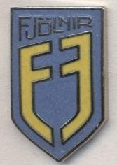 футбол.клуб Фьолнир (Исландия)1 ЭМАЛЬ / UMF Fjolnir, Iceland football pin badge