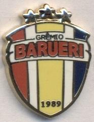 футбол.клуб Баруэри (Бразилия) ЭМАЛЬ / Gremio Barueri, Brazil football pin badge