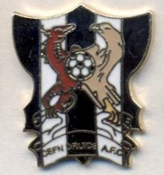 футбол.клуб Кевн Друидс (Уэльс)1 ЭМАЛЬ /Cefn Druids AFC,Wales football pin badge