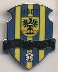 футбольный клуб Опава (Чехия)2 ЭМАЛЬ / SFC Opava,Czech football enamel pin badge
