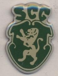 футбол.клуб Спортинг Гоа (Индия) тяжмет / Sporting Goa, India football pin badge