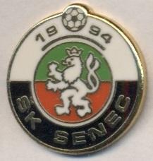 футбольный клуб Сенец (Словакия)1 ЭМАЛЬ / SK Senec, Slovakia football pin badge