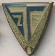 футбол.клуб Залаэгерсег(Венгрия)1 тяжмет/Zalaegerszegi TE,Hungary football badge