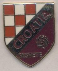 футбол.клуб Кроатия Сесвете (Хорватия)2 ЭМАЛЬ/Croatia Sesvete football pin badge