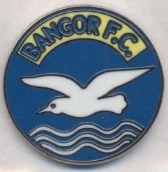 футбол.клуб Бангор (Сев.Ирландия)2 ЭМАЛЬ /Bangor FC,N.Ireland football pin badge