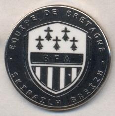 Бретань,федерация футбола(не-ФИФА)2 ЭМАЛЬ/Brittany football federation pin badge