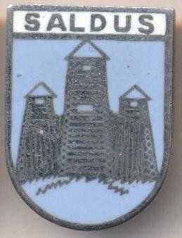 герб город Салдус (Латвия) ЭМАЛЬ / Saldus town, Latvia coat-of-arms enamel badge