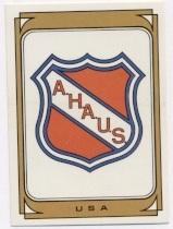 наклейка США, федерація хокею / USA ice hockey federation logo sticker