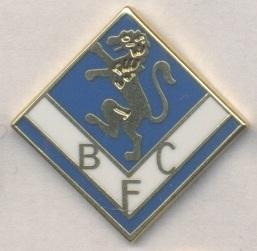 футбол.клуб Брешія (Італія) ЕМАЛЬ / Brescia FC,Italy football replica2 pin badge