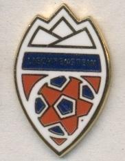 Ліхтенштейн,федерація футболу8 ЕМАЛЬ/Liechtenstein football federation pin badge