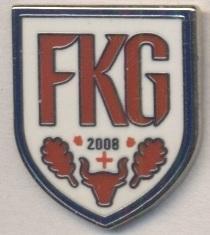 футбольний клуб Гарлява (Литва)2 ЕМАЛЬ /FK Garliava,Lithuania football pin badge