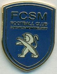 футбол.клуб Сошо (Франція)3 ЕМАЛЬ / FC Sochaux, France football enamel pin badge