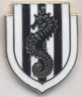 футбольний клуб Чезена (Італія)1 ЕМАЛЬ/AC Cesena,Italy football enamel pin badge