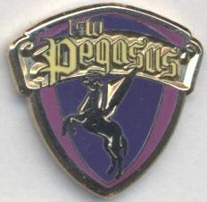 футбольний клуб Пегасус (Гонконг) ЕМАЛЬ /Hong Kong Pegasus FC football pin badge