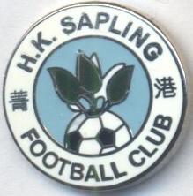 футбольний клуб Саплін (Гонконг) ЕМАЛЬ /Hong Kong Sapling FC football pin badge