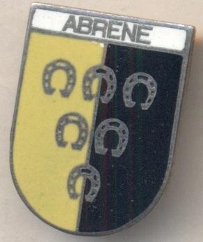 герб місто Абрене (Латвія) ЕМАЛЬ / Abrene town,Latvia coat-of-arms enamel badge