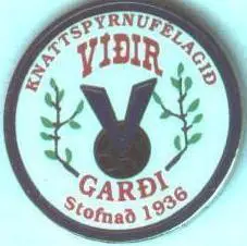 футбольний клуб Відір (Ісландія)1 ЕМАЛЬ /Vidir Gardur,Iceland football pin badge