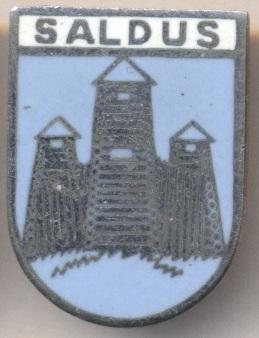 герб місто Салдус (Латвія) ЕМАЛЬ / Saldus town, Latvia coat-of-arms enamel badge
