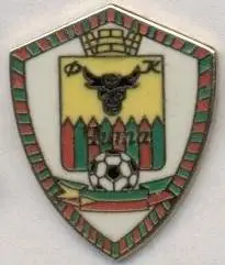 футбольний клуб Чита (Рос.)1 ЕМАЛЬ / FC Chita, Rus. football enamel pin badge