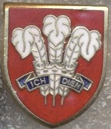 емблема квазі-держава Уельс, ЕМАЛЬ /Wales principality-state emblem enamel badge