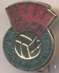 СРСР=СССР федерація футболу ЕМАЛЬ / USSR football federation enamel badge