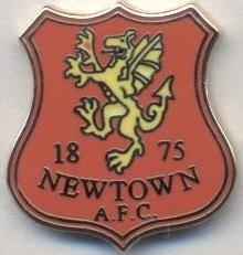 футбол.клуб Ньютаун (Уельс) ЕМАЛЬ / Newtown AFC, Wales football enamel pin badge