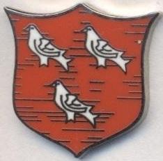 футбол.клуб Дандолк (Ірландія)2 ЕМАЛЬ /Dundalk FC,Rep.Ireland football pin badge