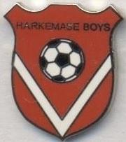 футбол.клуб Харкемасе (Нідерланди) ЕМАЛЬ/Harkemase Boys,Netherlands football pin