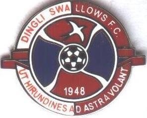 футбол.клуб Дінглі (Мальта) ЕМАЛЬ / Dingli Swallows FC, Malta football pin badge