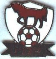 футбол.клуб Бней-Сахнін (Ізраїль) ЕМАЛЬ / Bnei Sakhnin,Israel football pin badge