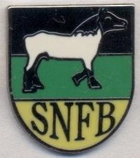 Саксонія, федерація футболу (не-ФІФА) ЕМАЛЬ/Saxony football federation pin badge